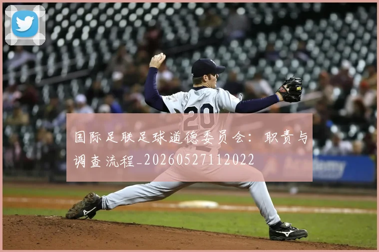 国际足联足球道德委员会：职责与调查流程_20260527112022