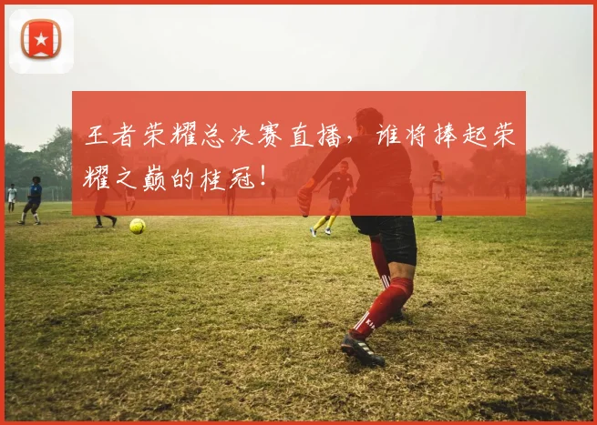 王者荣耀总决赛直播,谁将捧起荣耀之巅的桂冠!