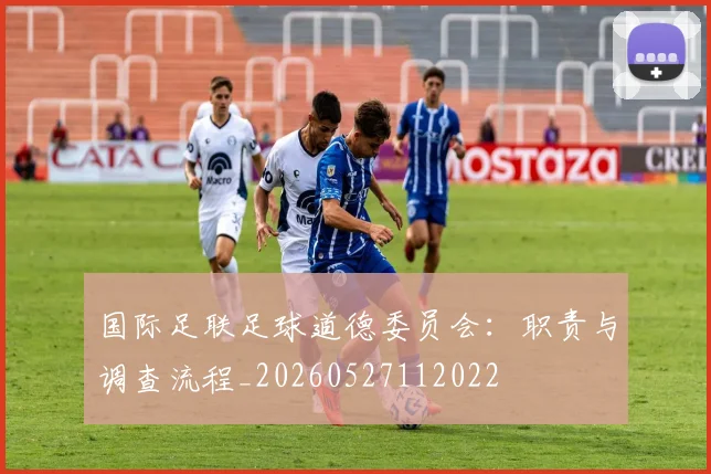 国际足联足球道德委员会:职责与调查流程_20260527112022